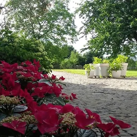 Clos Des Hortensias *