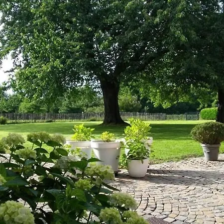 Clos Des Hortensias